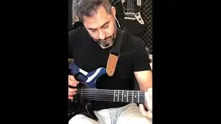 Semi fretless Aristides guitar 