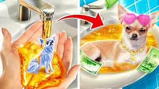 Если бы миллионеры приютили собаку! Жизнь собаки в богатой семье