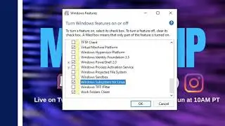 Kali Linux GUI on Windows 10 with WSL2 using Win-KeX