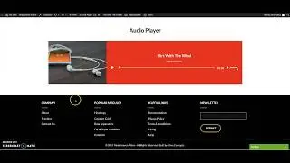 Ninja Beaver Addons   Audio Module
