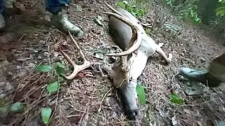 2024 Early Season crossbow (Buck walks in perfect)