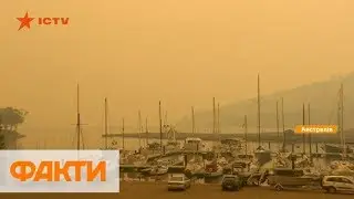 Погодные аномалии в мире: в США и Франции - аномальные морозы, в Австралии - пожары