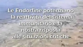 Il Suono del Mare - Cupido.it