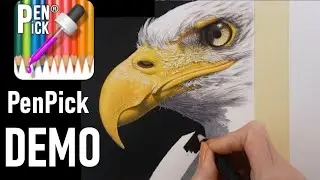 PenPick DEMO - a Bald Eagle in Colored Pencil