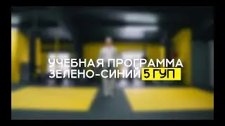 5 ГУП - ЗЕЛЕНО-СИНИЙ ПОЯС