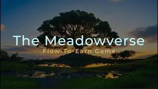 Meadowverse:  Flow-to-Earn Game of Life