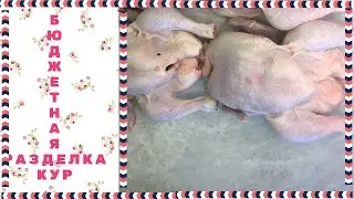 КАК РАЗДЕЛАТЬ и что приготовить из КУР