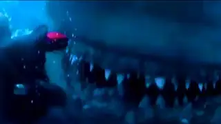 MEGALODON COUGHT ON CAMERA - ALL VIDEOS - REAL OR FAKE FACT CHECK - SHARK ATTACK #theworldexplained