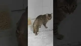 Изверг сломал мне позвоночник😭Не пролистывайте меня!
