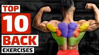 Amizing exercises for BACK