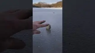 Лучший антистресс или же наваляли дурачков ?!