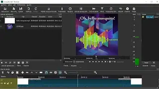 Cómo generar un video con una onda de audio a partir de un mp3
