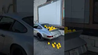 DUCKTAIL Vibes 🐥🐥🐥