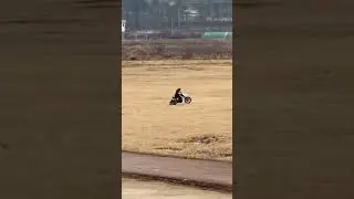 Losi 1/4 Promoto-MX Motorcycle RC