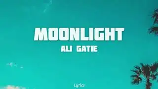 Ali Gatie - Moonlight (Lyrics video)