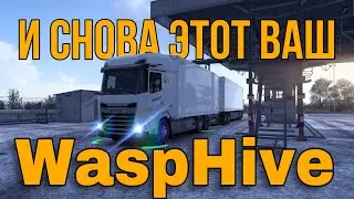 WaspHive part 2