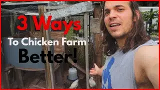 3 Chicken Farming Necessities [HELPFUL]