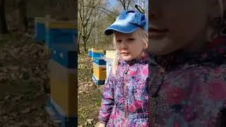 Варя и пчёлы. #пчеловодство #bee #пасека #пчелы #пчёлы #beekeeper #вощина #обзор