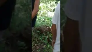 (part 19) Ang Pag-uwi Galing Parasapas Falls Pinsal 2