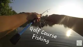 I CAUGHT A GOLF COURSE MONSTER