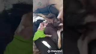 чего то между собой не поделят 😂😂😂😂😂😂