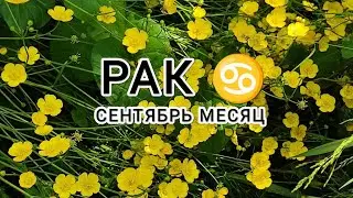 РАК ♋ тароскоп сентябрь месяц &CANCER taroscope september month