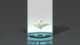 SHINY AND HUNDO TOGETIC! 🤯😭 