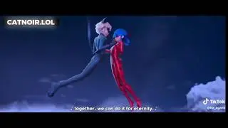 miraculous ladybug stronger together English