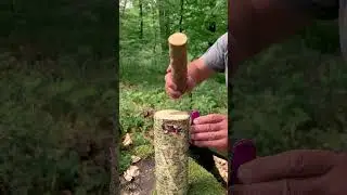 ✅Amazing Knife Hack #camping #survival #bushcraft #lifehack