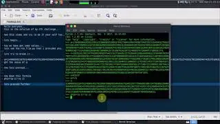 CTF RSA challenge solution