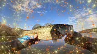 Ross Lake 11-4-2023 Bass Fishing Featuring Doug Callison