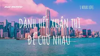 Dành Hết Xuân Thì Để Chờ Nhau - Vũ. feat Hà Anh Tuấn「Lofi Version」- 1 HOUR