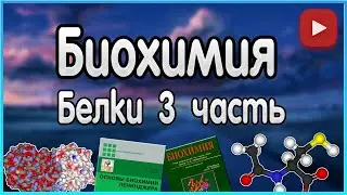 Biochemistry. Lecture 4. Proteins. Classification of proteins.