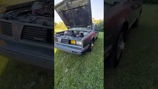 Supercharged Pontiac 6000 Station Wagon! #6000 #pontiac #80s #supercharged #engineswap #3800SC