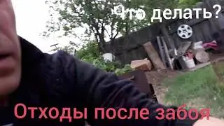 Что делать?Отходы после забоя