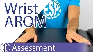 Active Range of Motion: Wrist & Hand