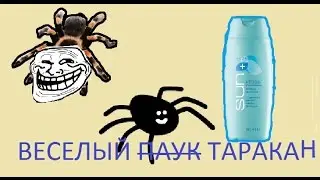 ВЕСЕЛЫЙ ТАРАКАН