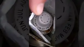Муравейник в фильтре для воды 365 дней! Рыжие муравьи в квартире в угальном фильме для очистки воды!