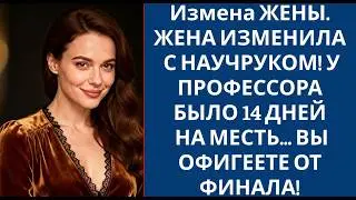 Измена ЖЕНЫ  ЖЕНА ИЗМЕНИЛА С НАУЧРУКОМ! У ПРОФЕССОРА БЫЛО 14 ДНЕЙ НА МЕСТЬ    ВЫ ОФИГЕЕТЕ ОТ ФИН