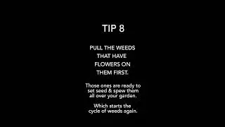 Weeding 101: Quick tips for better weed control.