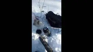 Первый поход за зиму