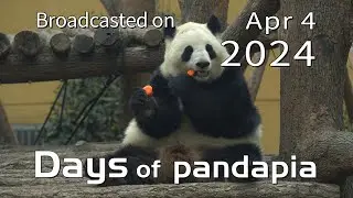 20240404 Broadcast Top Highlights 04