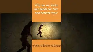 Why do we shake our heads for "no "and nod for "yes"?