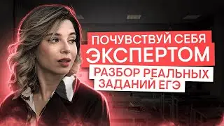 Разбор заданий ЕГЭ: почувствуй себя экспертом | Обществознание с Олей Вебер ЕГЭ 2025 | СМИТАП