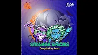 Jumpstreet & Radikal Moodz - Limbic Resonance