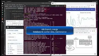 qw 15 Git branching and more database