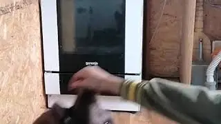 Деня и команда кувырок.