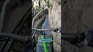 😱 Riding a Bike Down the Stairs? How Dangerous! 🚲⚠️