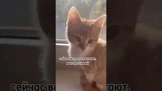 4 октября 2024 г.