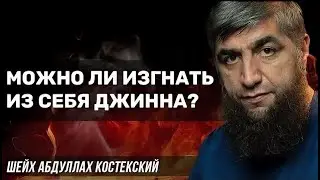 Можно ли изгнать из себя джина - шейх Абдуллах Костекский